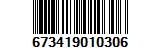 673419010306