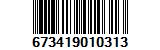 673419010313