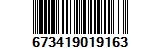 673419019163