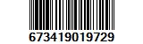 673419019729