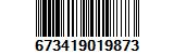 673419019873