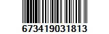 673419031813