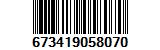 673419058070