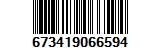 673419066594