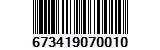 673419070010
