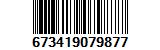 673419079877
