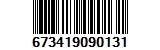 673419090131