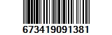 673419091381
