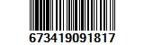 673419091817
