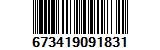 673419091831