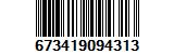 673419094313