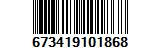 673419101868