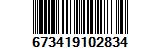 673419102834