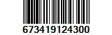 673419124300