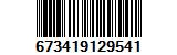 673419129541