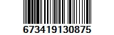 673419130875