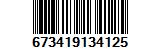673419134125