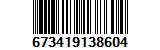 673419138604