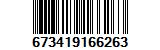673419166263