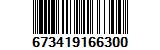673419166300