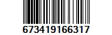 673419166317