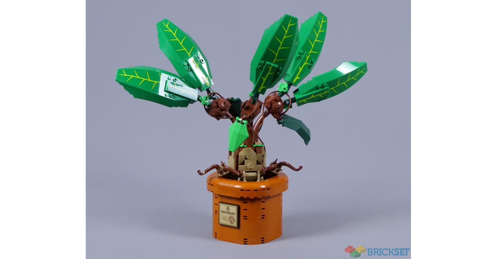 LEGO Harry Potter 76433 Mandrake review | Brickset