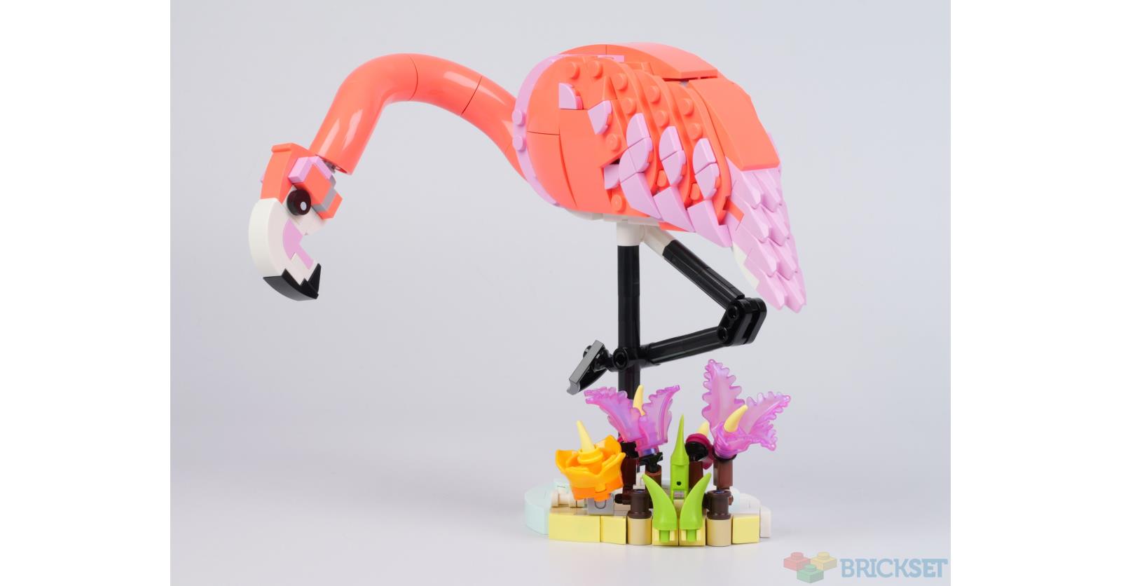 LEGO Creator 31170 Pink Flamingo review | Brickset