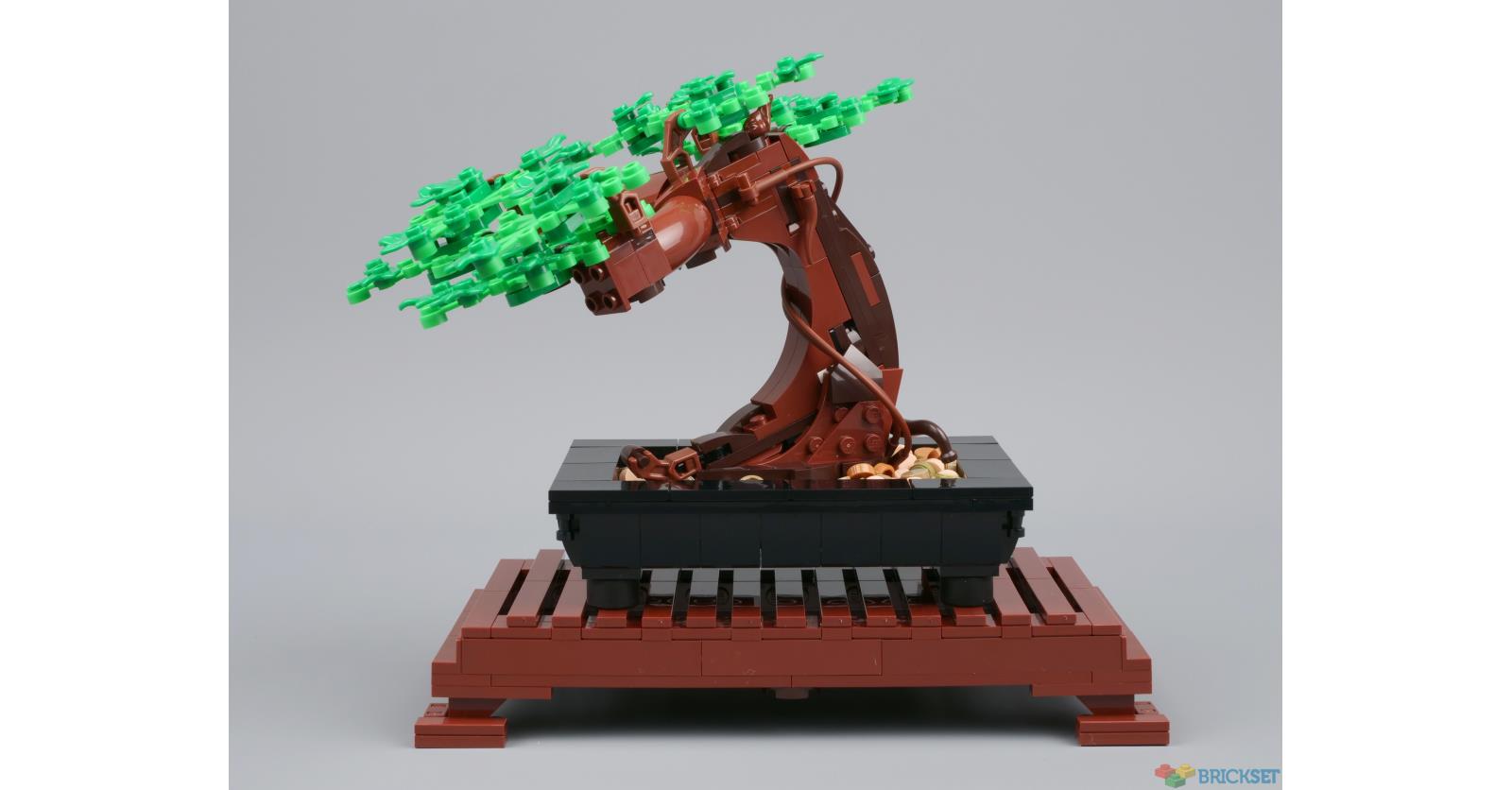 LEGO 10281 Bonsai Tree review