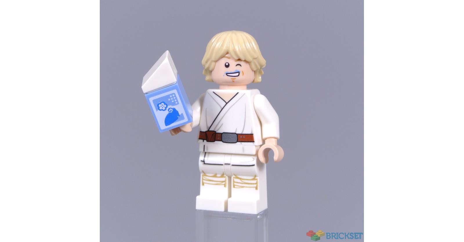 LEGO 30625 Luke Skywalker with Blue Milk review Brickset